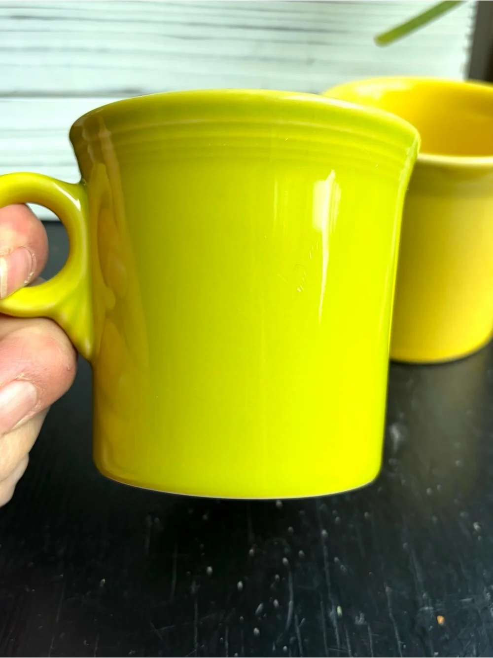 Homer Laughlin Fiesta ware Mugs Cups Set of 2